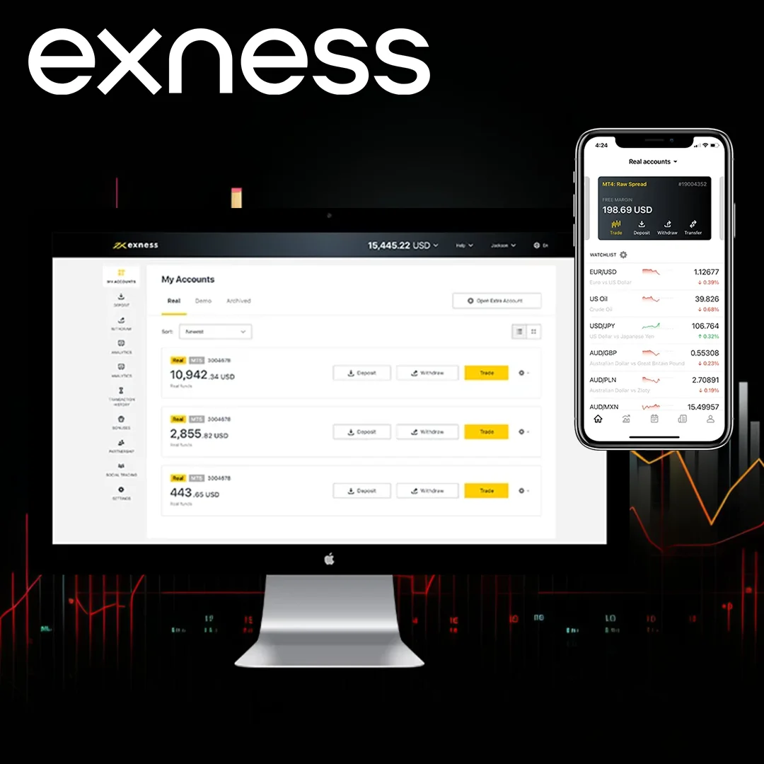 أنواع حسابات Exness في الجزائر